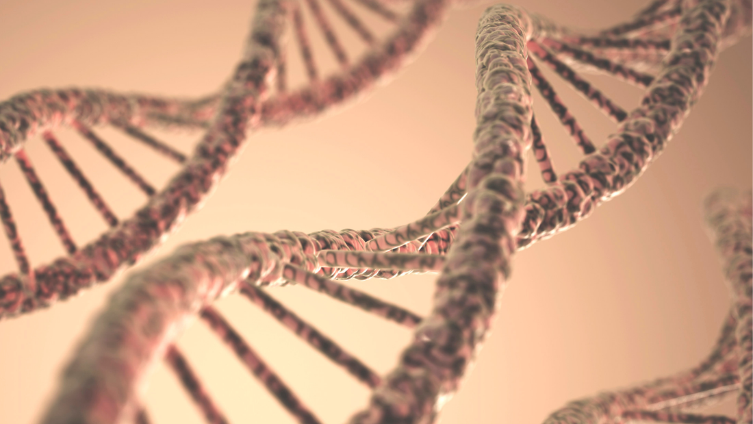 5 datos clave sobre cómo tus genes afectan tu bienestar diario