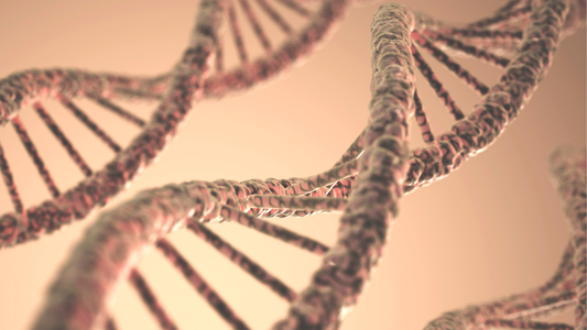 5 datos clave sobre cómo tus genes afectan tu bienestar diario