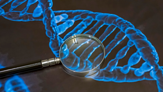 ¿Qué significa ser portador de una enfermedad?