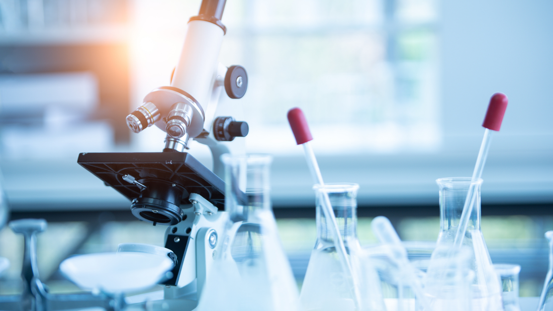 Las últimas investigaciones en genética: avances y descubrimientos