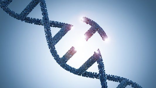 CRISPR: ¿Qué es y cómo funciona?