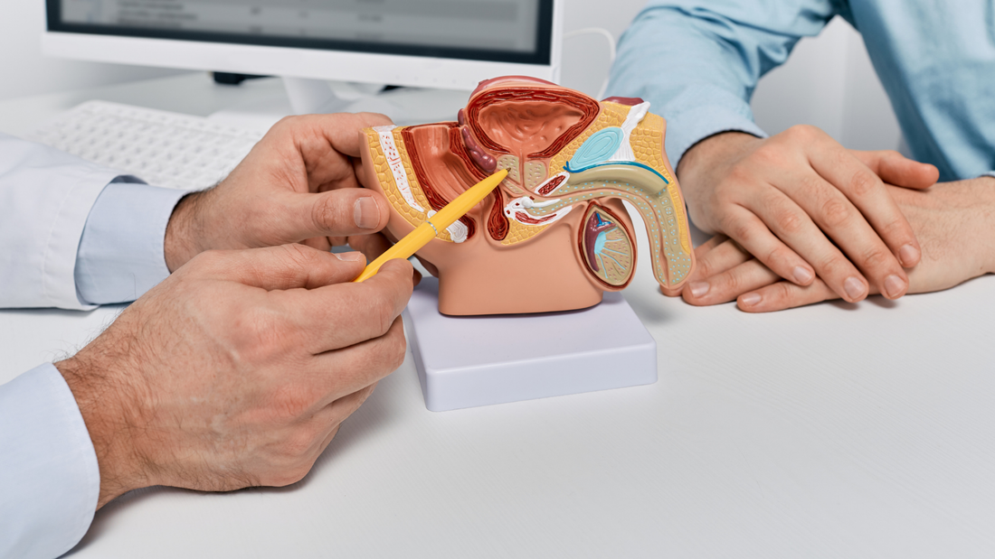 Cáncer de próstata: beneficios de un estudio genético preventivo