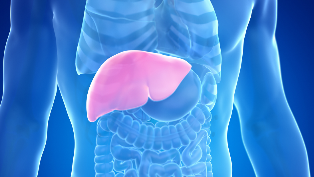 ¿Qué es la hepatitis y qué tiene que ver con la genética?