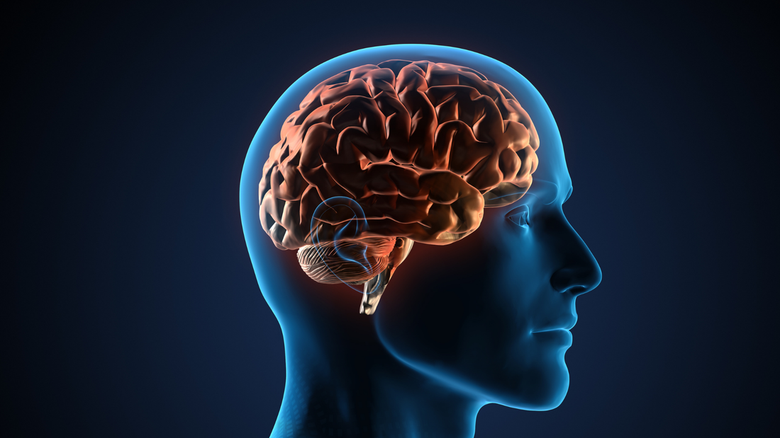 ¿La ELA es una enfermedad hereditaria?