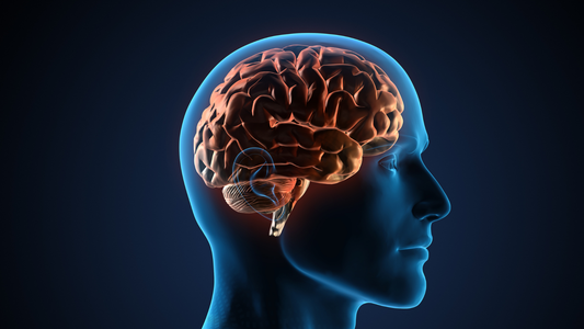 ¿La ELA es una enfermedad hereditaria?