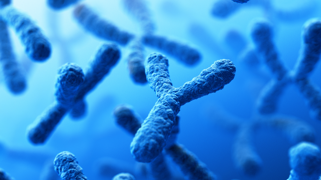 Los diferentes tipos de cromosomas humanos que existen