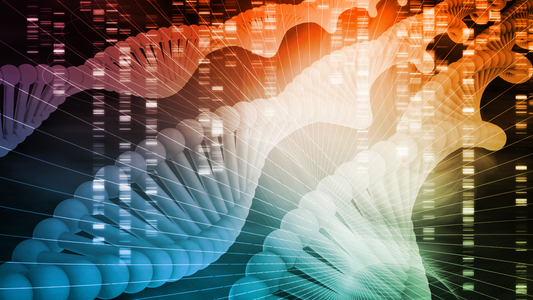 ¿Qué es un mapa genético y para qué sirve?