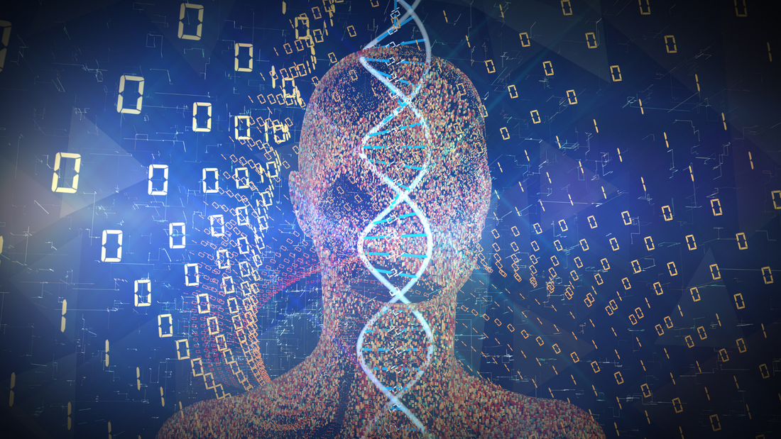 ¿Qué es la imputación genética?