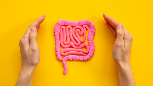 ¿Qué es la enfermedad de Crohn?