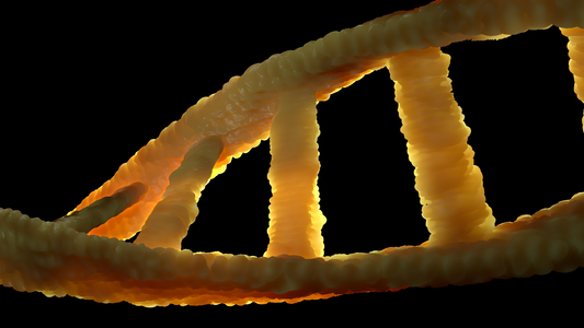 ¿Qué son las mutaciones genéticas?