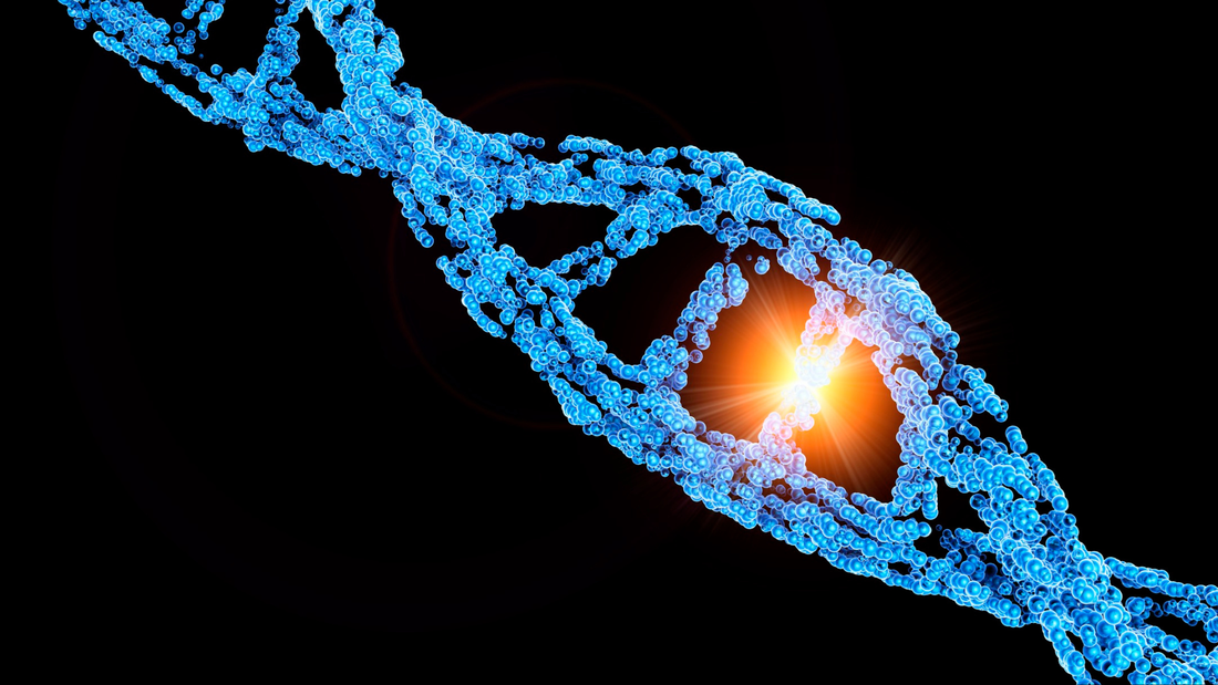 ¿Qué son los trastornos de un único gen?