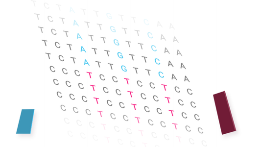 Genética predictiva: Una nueva era en las ciencias de la salud