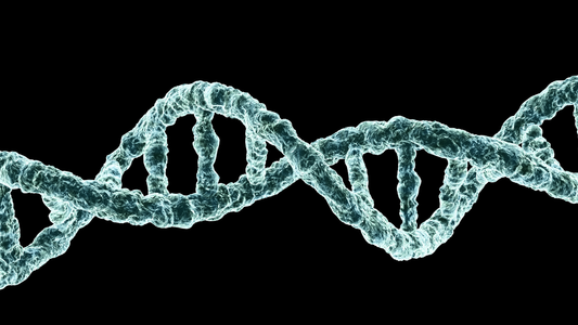 Cómo entender tu predisposición genética a enfermedades comunes