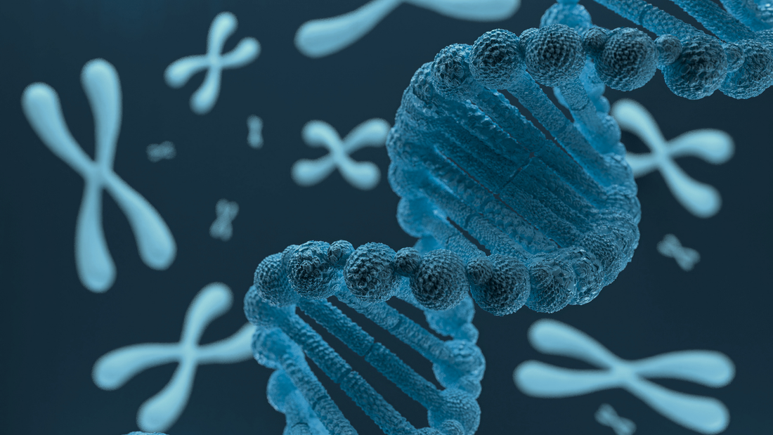 Enfermedades genéticas: Síndrome de Angelman