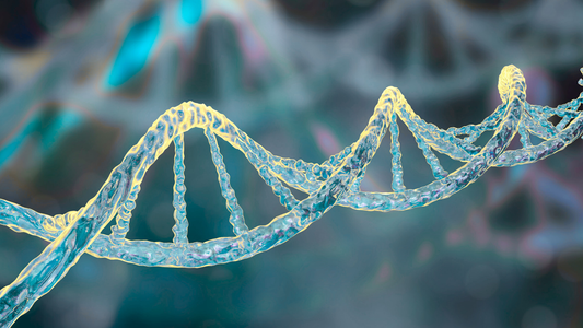 Enfermedades genéticas: Síndrome del X Frágil