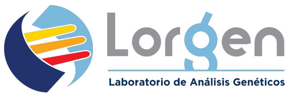 Lorgen