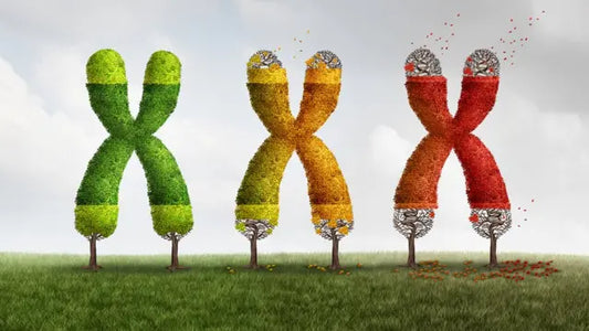 TEST DE LONGEVIDAD - ANÁLISIS DE TELÓMEROS: HealthTAV® - Life Lenght